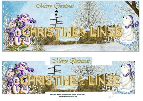 christine and linze