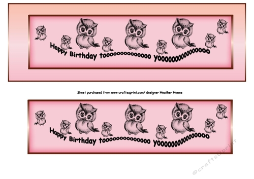 Large Dl owls1