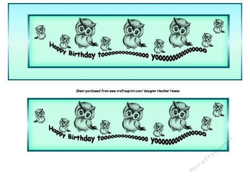 Large Dl owls2