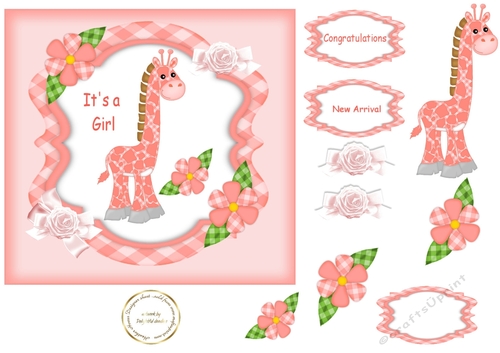 pink Giraffe baby girl