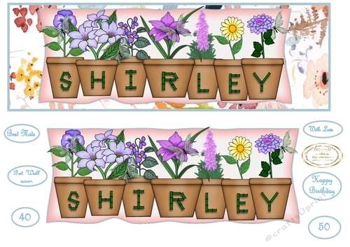 large dl pot plant names SHIRLEY