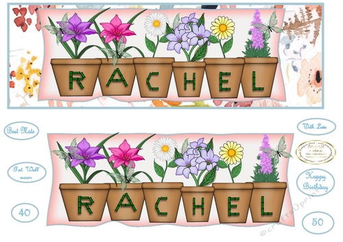 large dl pot plant names Rachel