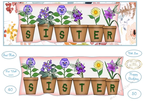 large dl pot plant names SISTER