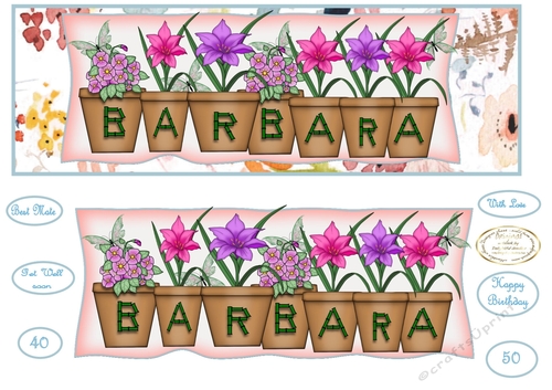 large dl pot plant names BARBARA