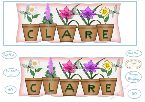 large dl pot plant names CLARE Different spelling