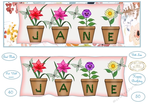 large dl pot plant names JANE