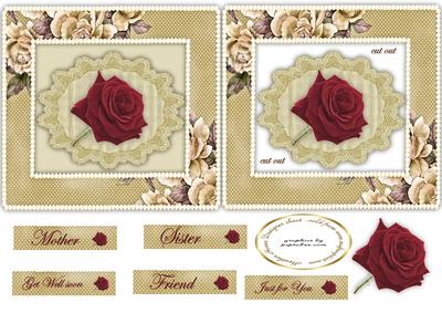 Framed Rose on Lace
