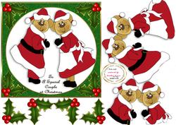 Mr and Mrs Christmas Bears