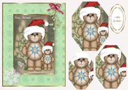 Teddies at Christmas