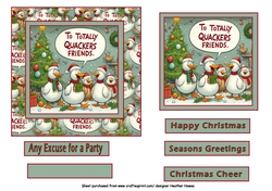 to totally quackers friends