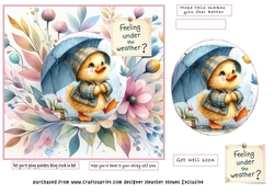 under the weather duck