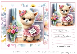 alpaca birthday