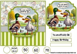 male duck no wise quacks
