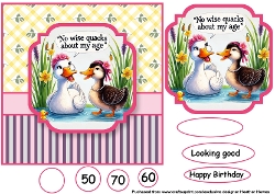 female duck no wise quacks
