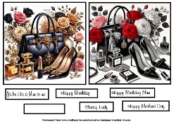 2 handbag and shoe toppers