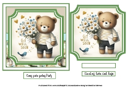 get well bear bird