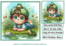 birhday boy with frog
