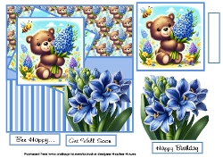 hyacinth bear