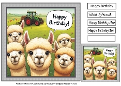just alpacas