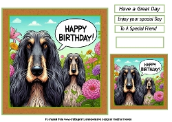 just Afghan Hounds