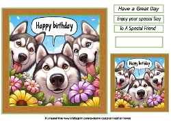 just  huskies