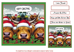 christmas highland coos