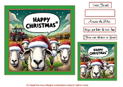 christmas sheep