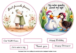 quick toppers for all occasions female