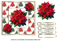 poinsettias