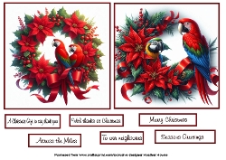 parrots at christmas