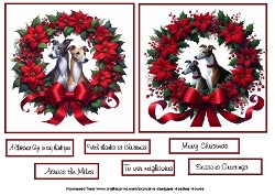 greyhounds at christmas