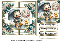get well duck and roses