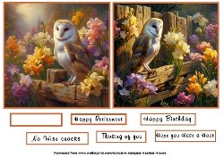 owl toppers 3
