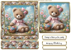 susie bear get well /birthday bear