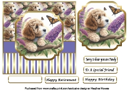 cockapoo and butterfly