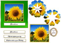 Sunflower Petal Pyramid