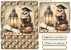 owl easel graduation