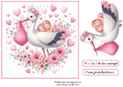 stork baby pink twin girls