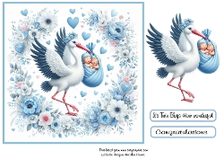 stork babyblue twin boys