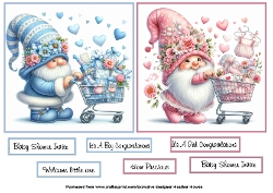 boy and girl baby shower or birth toppers