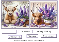 highland coo with flowers