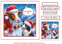 merry christmas to moo2