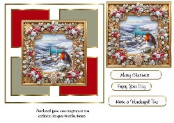 framed robin 2