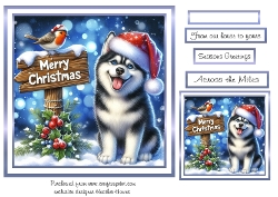 blue christmas husky