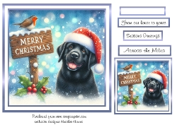 blue christmas black labrador