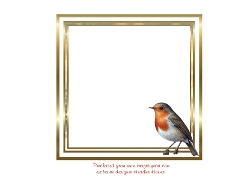 generic insert 2 for all my window cards