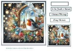 robin 1