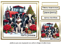 down on farm christmas 4