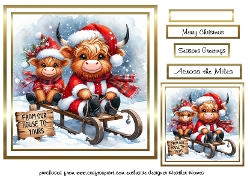 highland coos 2
