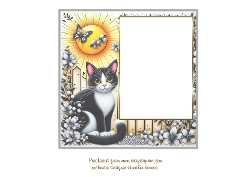 envelope flap card cat 2 insert